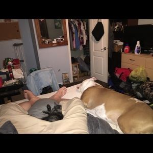 Meet your Posher, Brad